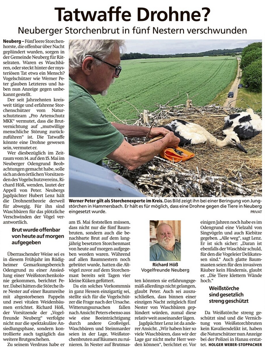 Storchenbrut verschwunden
