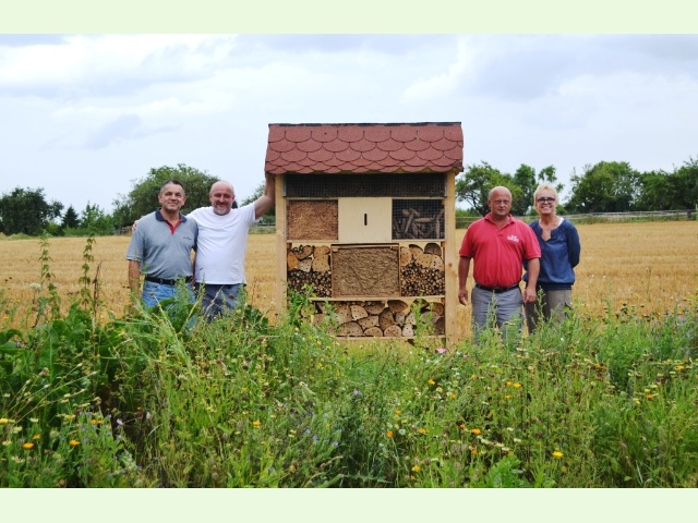 Insektenhotel web