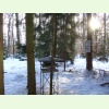 Winterwanderung 27
