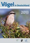  images pictures news cover vid2013 150px
