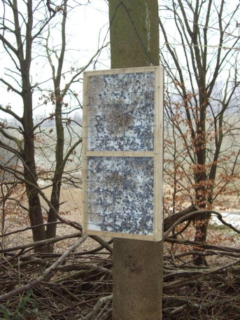 Futterbrett im Waldeinsatz