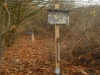 NSG Erlenwiesen-Hattenberg00035 1