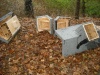 NSG Erlenwiesen-Hattenberg00039 1