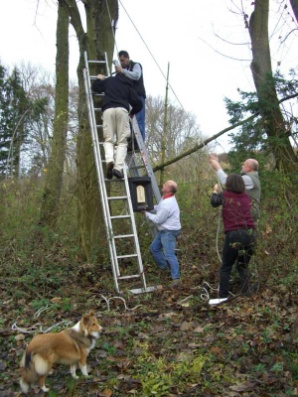 Schwere Fledermauskästen sind nur gemeinsam zu schaffen Schwere Fledermauskästen sind nur gemeinsam zu schaffen