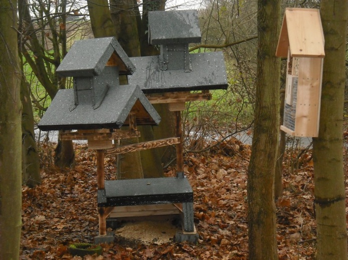 NSG Erlenwiesen-Hattenberg00060 1