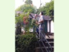 Waldfest 2015 03