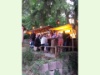 Waldfest 2015 18